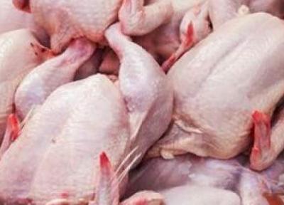 نامه نگاری مرغداران برای افزایش نرخ مصوب مرغ