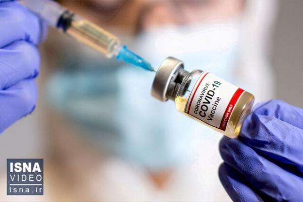 میزان واکسیناسیون کرونا در اسفراین به 89 درصد رسید