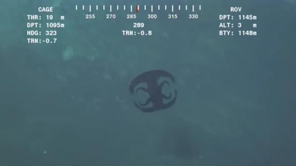 شکار یک موجود عجیب بیگانه در اعماق اقیانوس، عکس