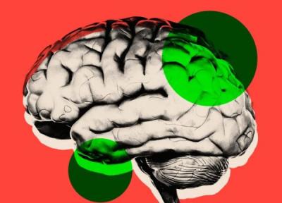 آیا می توان روند پیری مغز را تغییر داد؟ این دانشمندان چنین فکر می نمایند